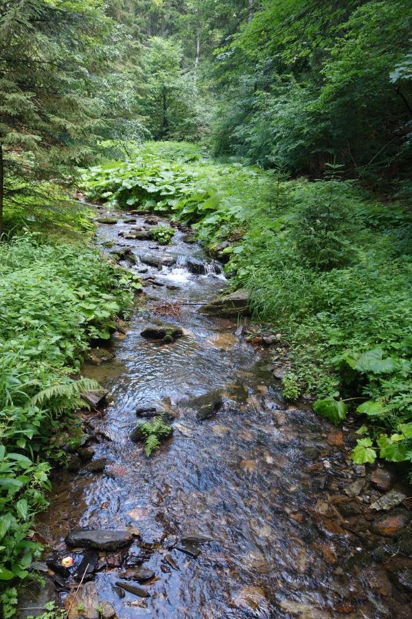 Penzion Chata Na Mlyne Horni Mesto エクステリア 写真