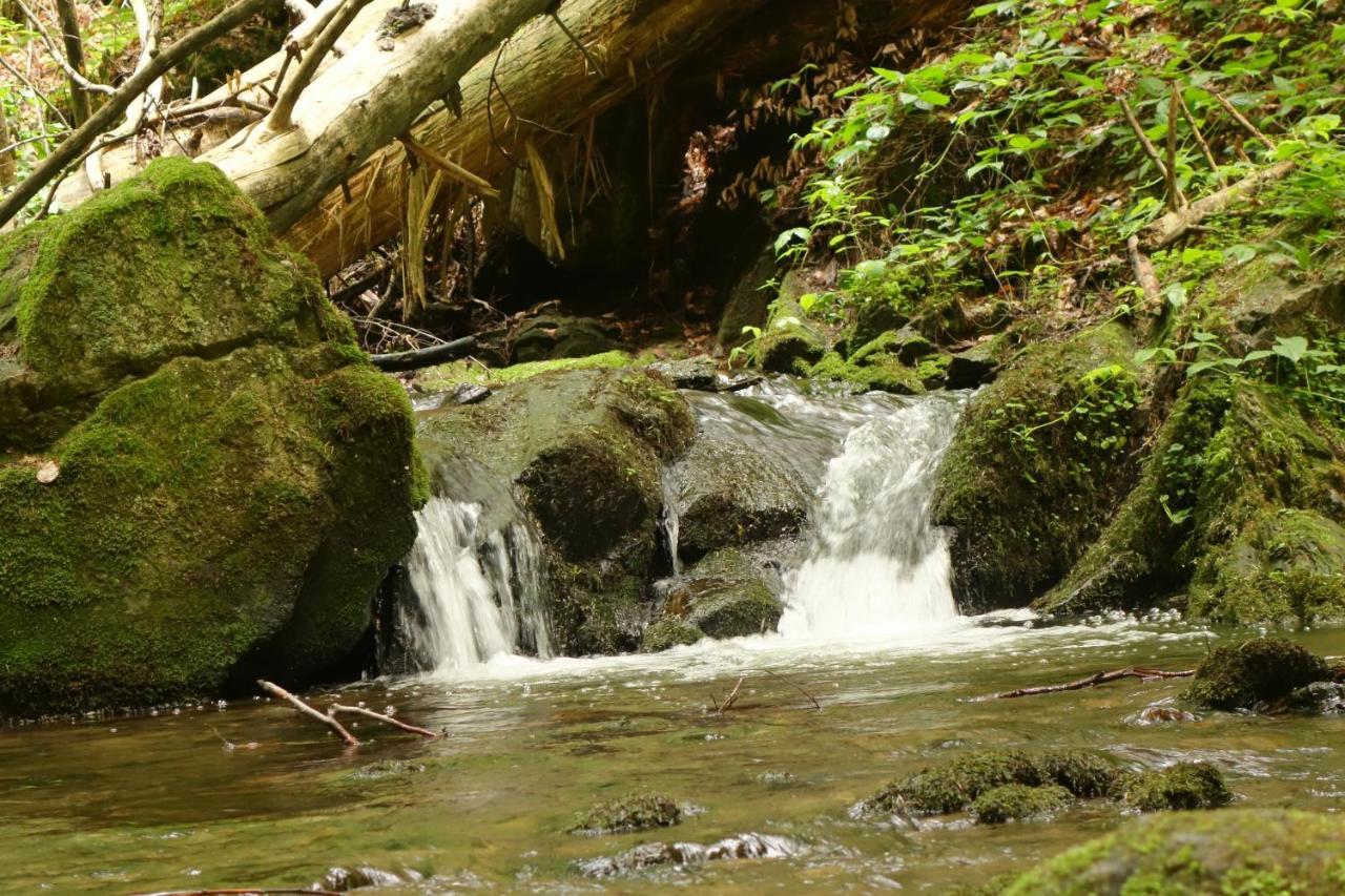 Penzion Chata Na Mlyne Horni Mesto エクステリア 写真